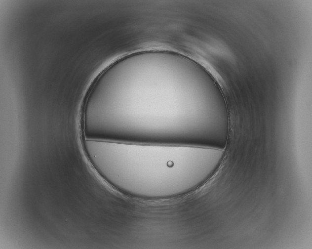 X0000111841142200907231034