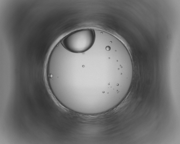 X0000111841144200907231034