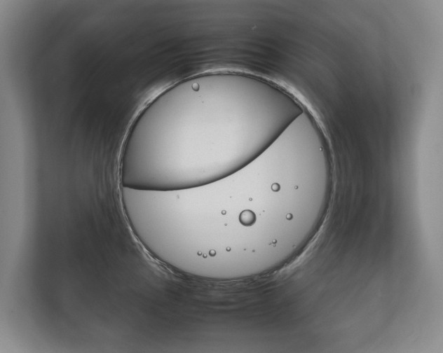 X0000111841145200907231034
