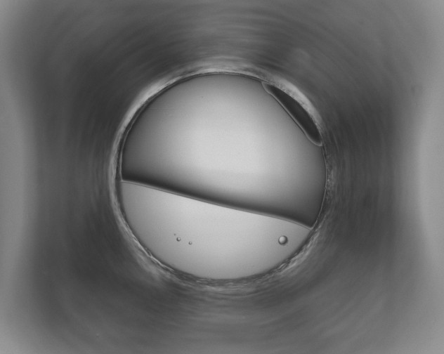 X0000111841146200907231034