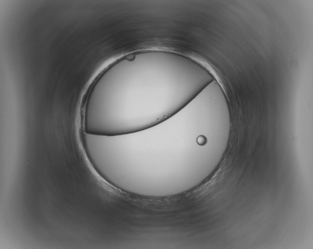 X0000111841147200907231034