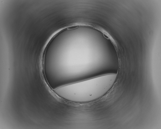 X0000111841148200907231034