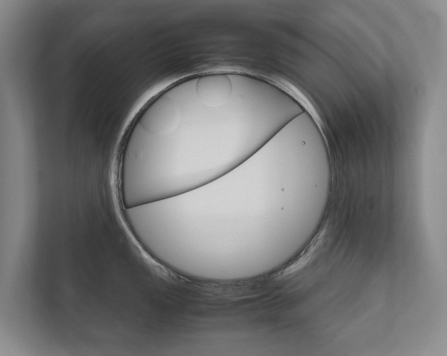 X0000111841149200907231034