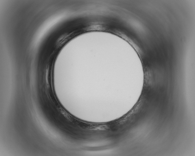 X0000111841150200907231034