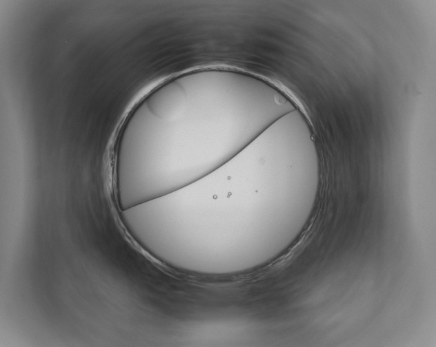 X0000111841151200907231034