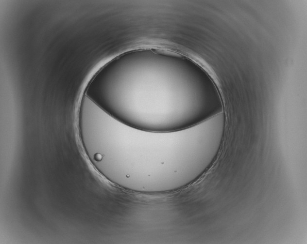 X0000111841152200907231034