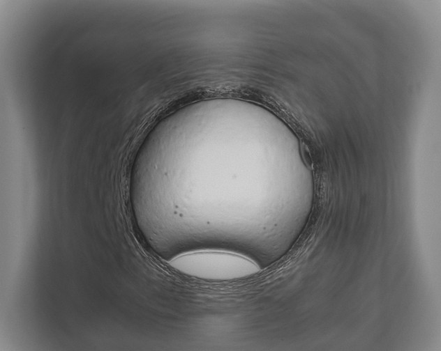 X0000111841153200907231033