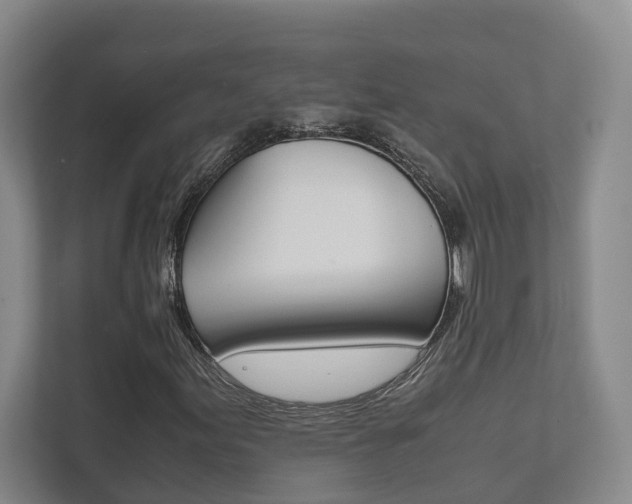 X0000111841155200907231033