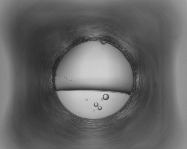 X0000111841156200907231033