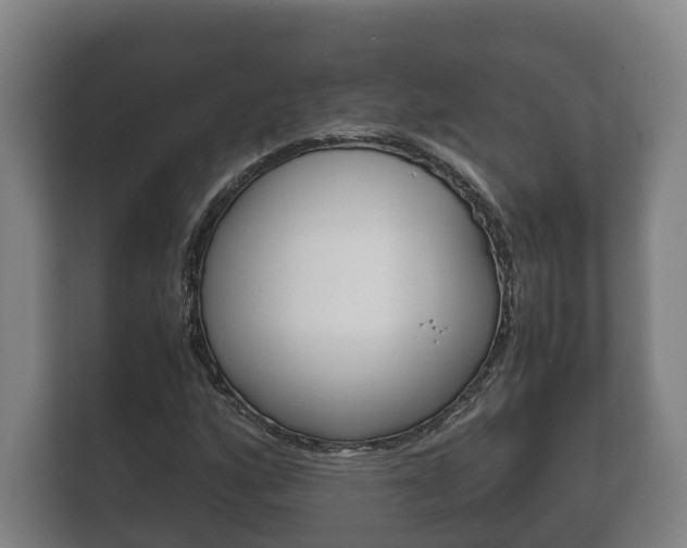 X0000111841160200907231033