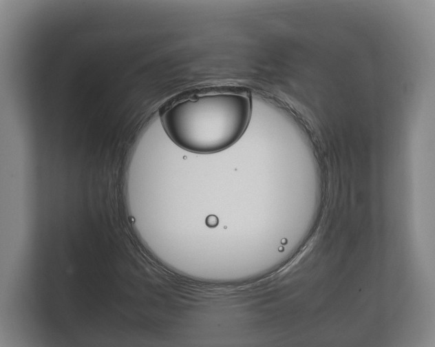 X0000111841161200907231033