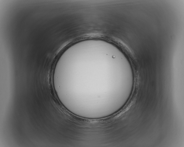 X0000111841162200907231033