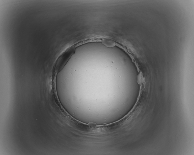 X0000111841165200907231033