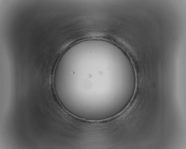 X0000111841169200907231033