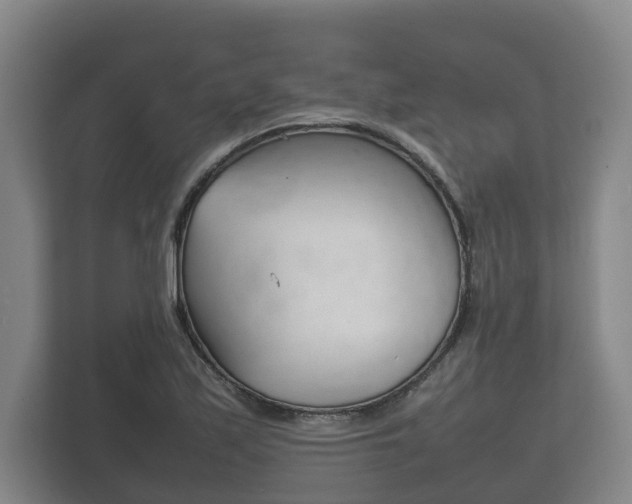X0000111841171200907231033