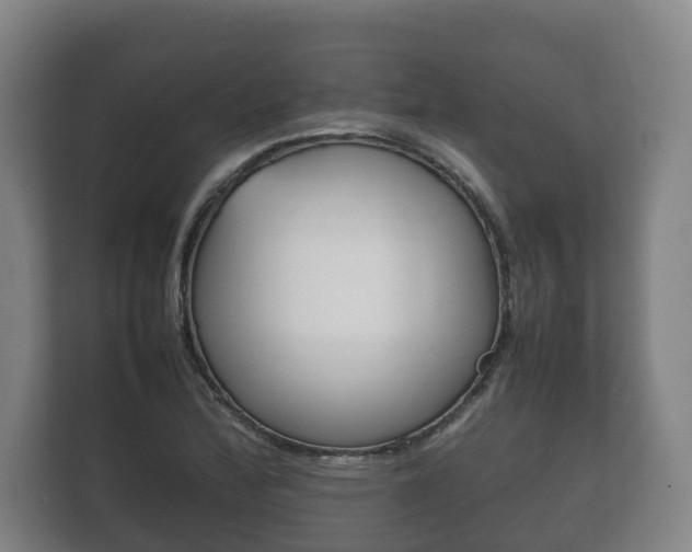 X0000111841172200907231033