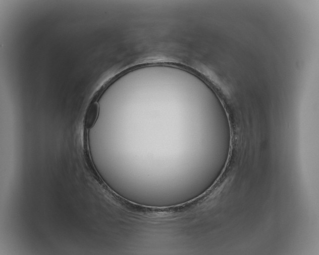 X0000111841173200907231033