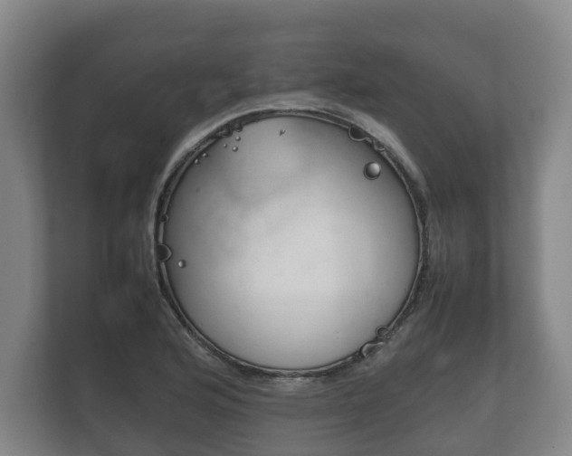 X0000111841176200907231033