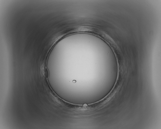 X0000111841177200907231033