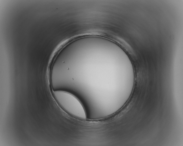X0000111841180200907231033