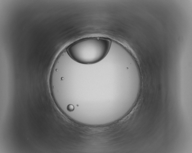 X0000111841181200907231033