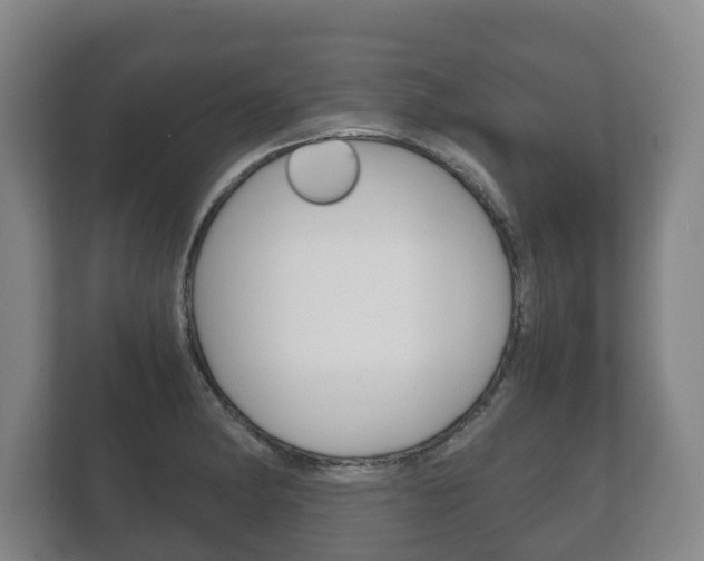 X0000111841182200907231033