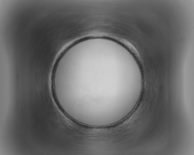 X0000111841183200907231033