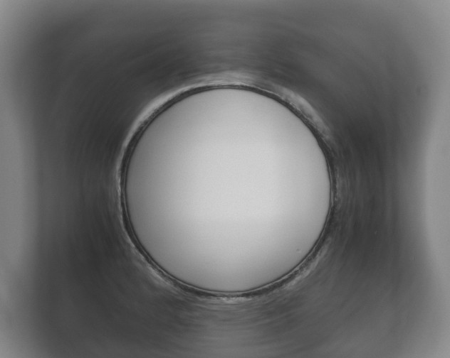 X0000111841184200907231033