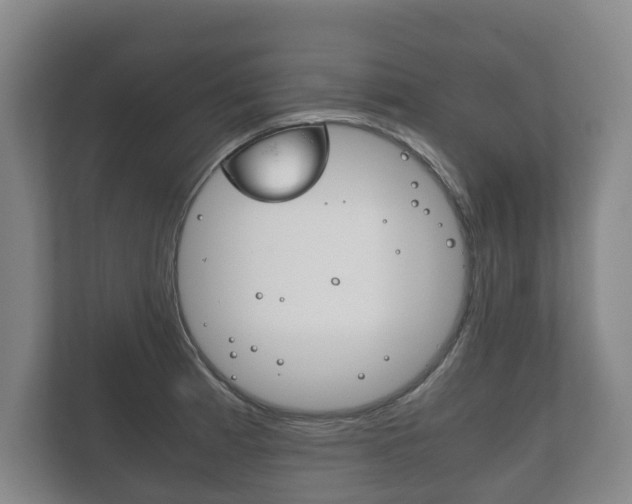 X0000111841185200907231033