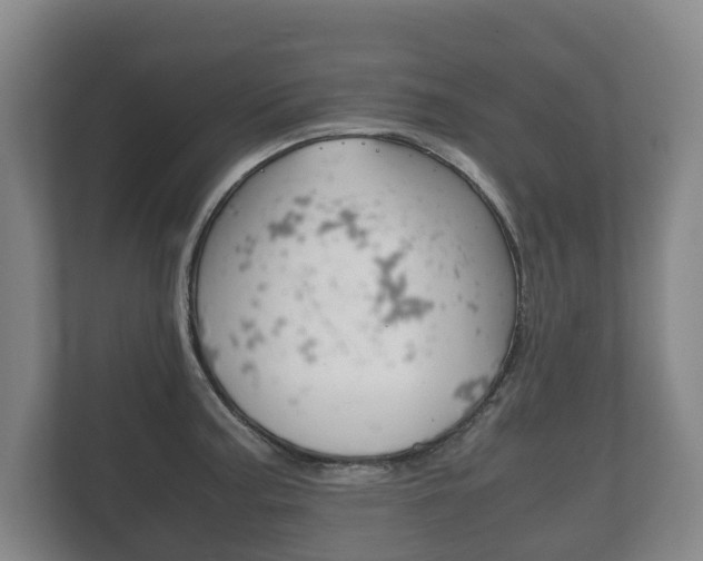X0000111841187200907231033