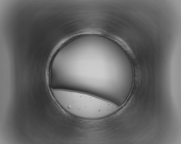 X0000111841188200907231033