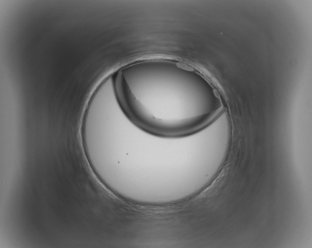 X0000111841189200907231033