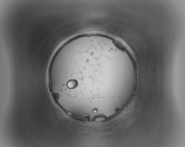 X0000111841191200907231033