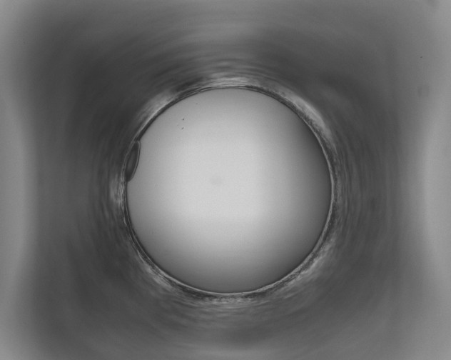 X0000111841193200907231033