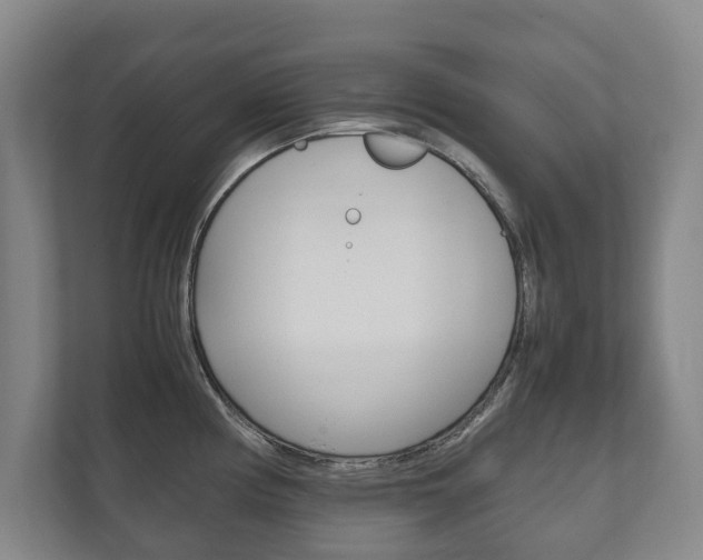 X0000111841194200907231033