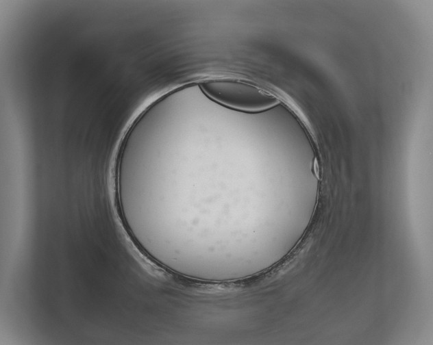 X0000111841195200907231033