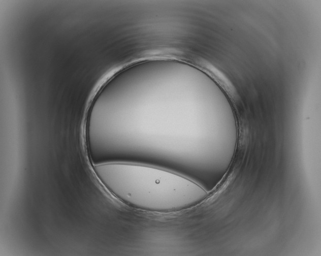 X0000111841196200907231033
