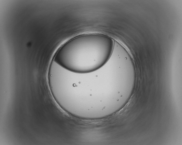 X0000111841197200907231033
