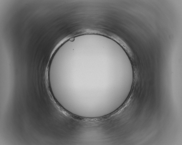 X0000111841198200907231033