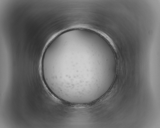 X0000111841199200907231033