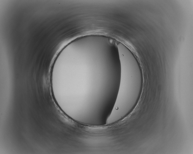 X0000111841200200907231033