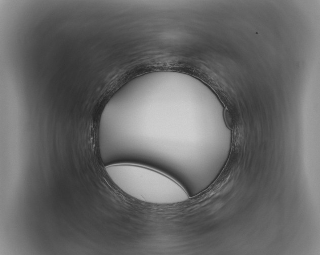 X0000111841202200907231032