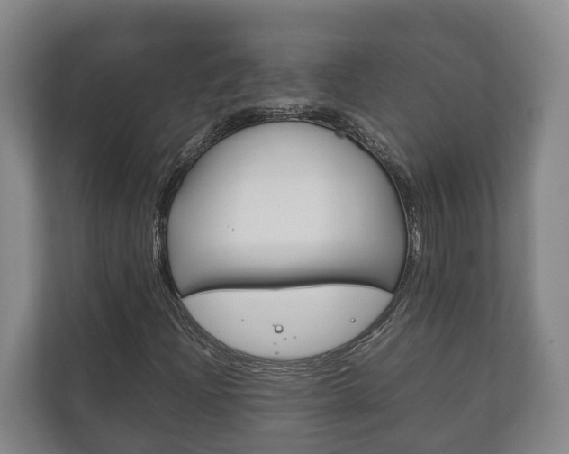 X0000111841204200907231032