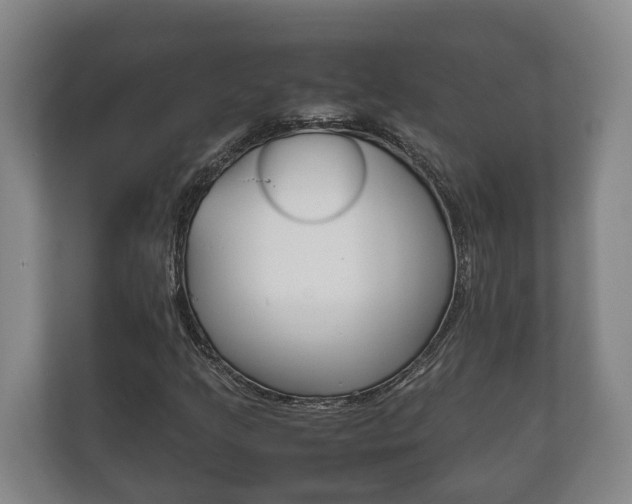 X0000111841205200907231032