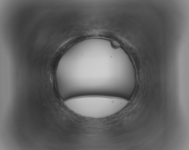X0000111841206200907231032