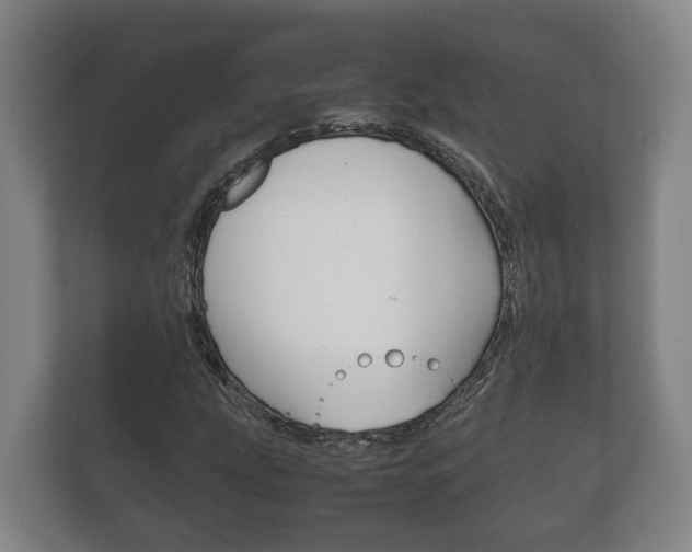 X0000111841207200907231032