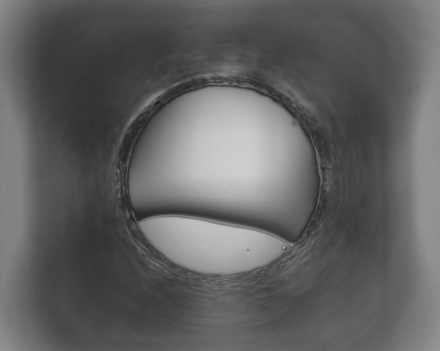 X0000111841208200907231032