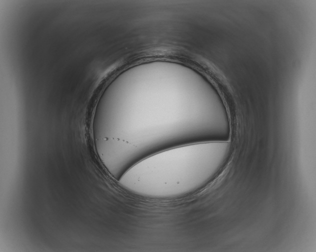 X0000111841210200907231032