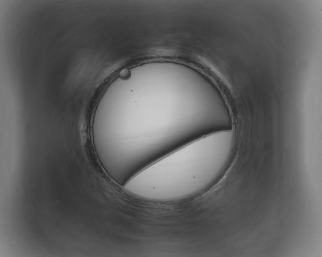 X0000111841213200907231032