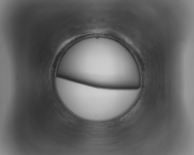 X0000111841214200907231032